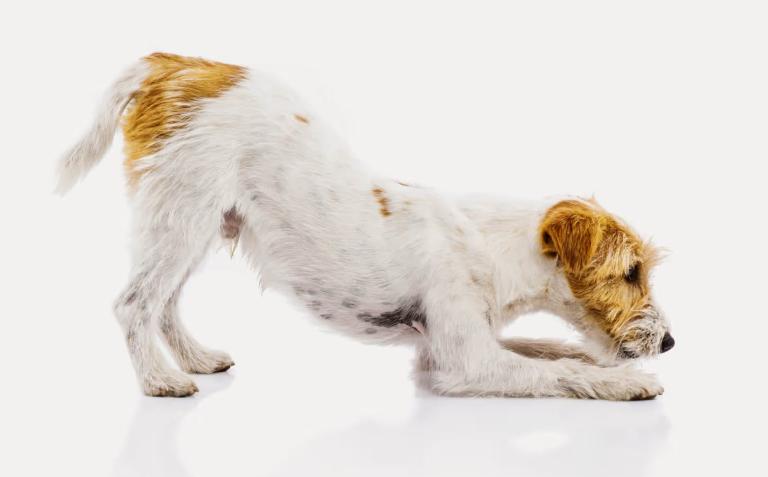 imagemmik4smkkni8e95UJ57