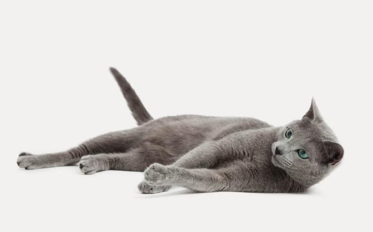 imagesogege58ubnmaKDUyR4