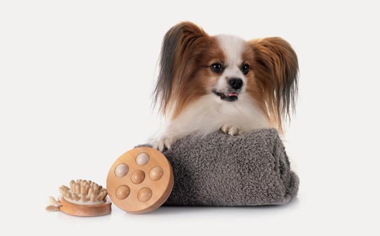 image21bbvdpmg5e95Zwh147